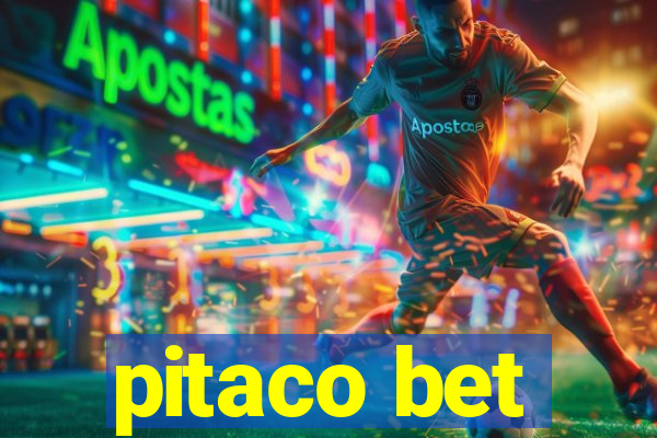 pitaco bet