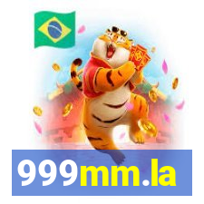 999mm.la