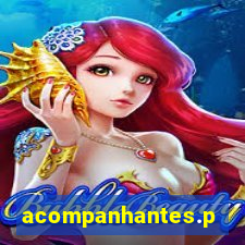 acompanhantes.pvh