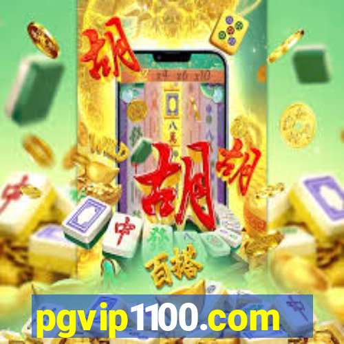 pgvip1100.com