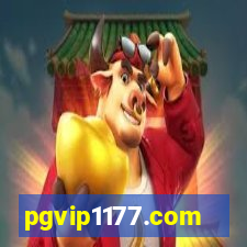 pgvip1177.com