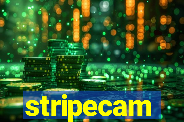 stripecam