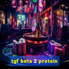 tgf beta 2 protein