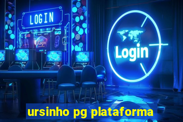 ursinho pg plataforma