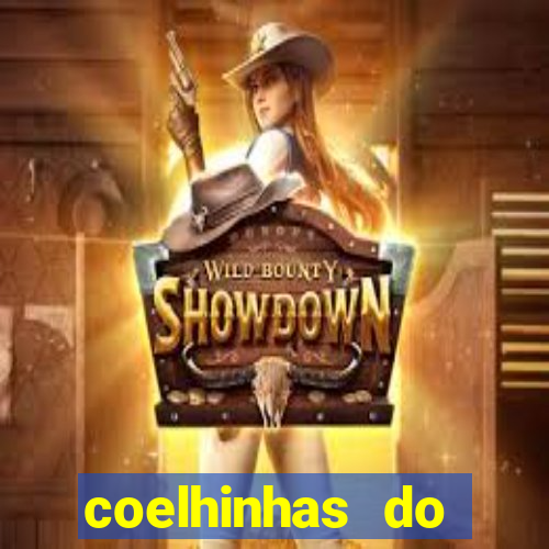 coelhinhas do brasil recife