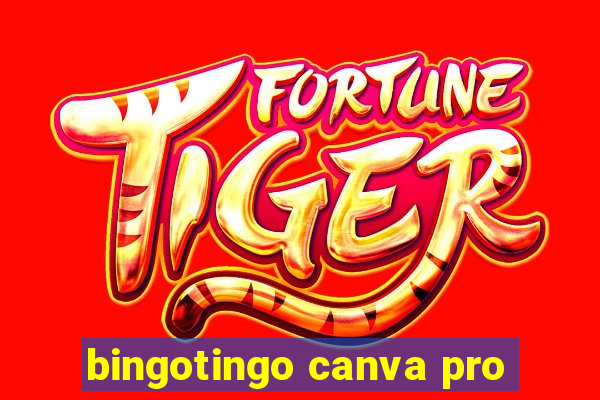 bingotingo canva pro