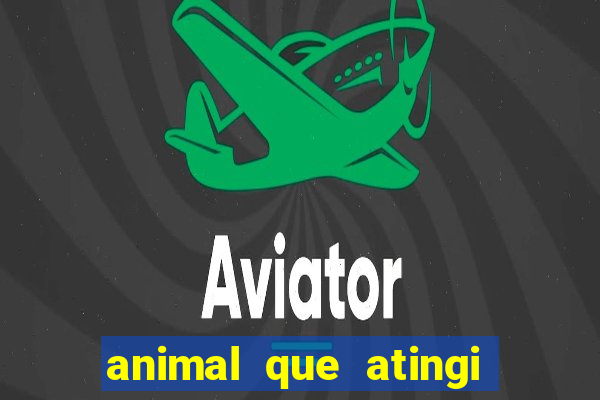 animal que atingi 230 decibeis