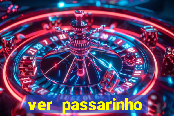 ver passarinho morto significado espiritual